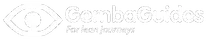 Gemba Guides